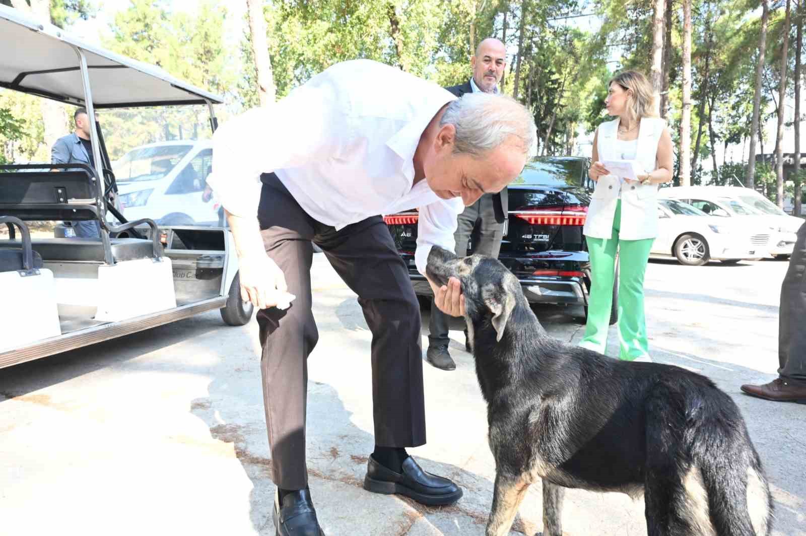 Başkan Kocagöz’den ’Köpek yakıldı’ iddialarına cevap