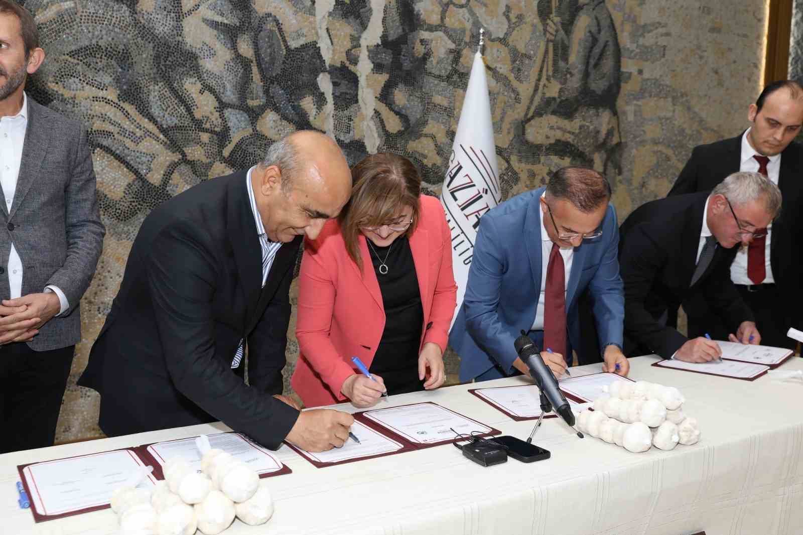 Araban sarımsağı i&ccedil;in işleme ve paketleme tesisi kuruluyor
