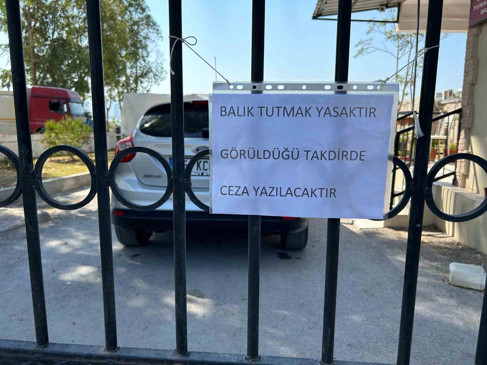 İzmir Körfez’deki felakete rağmen balık tutmaya devam ediyorlar
