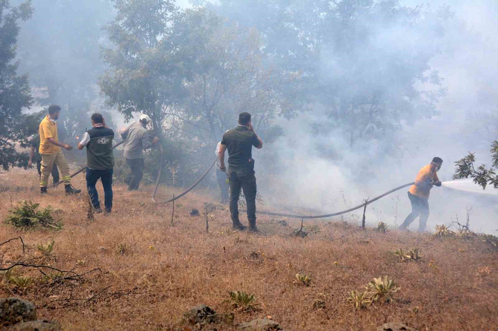 Kazdağı Milli Parkı&rsquo;nda orman yangını

