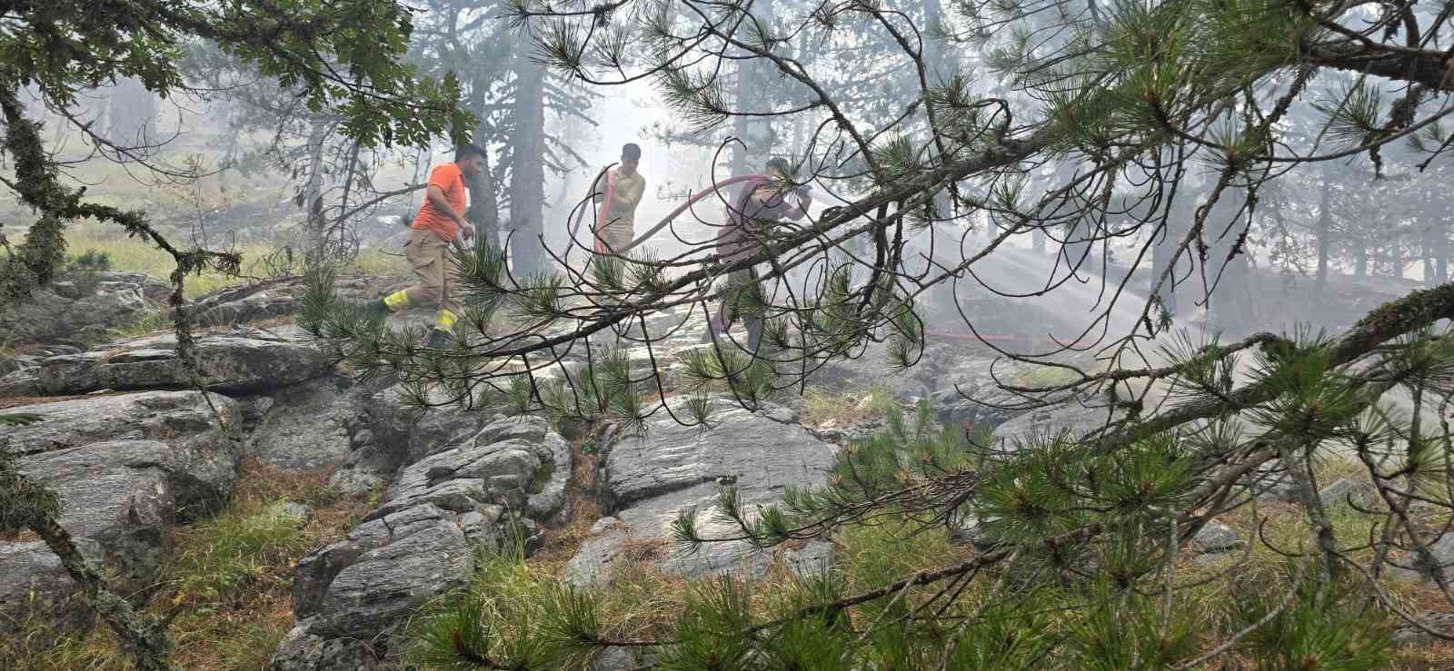 Kazdağları&rsquo;nda yangına havadan m&uuml;dahale s&uuml;r&uuml;yor
