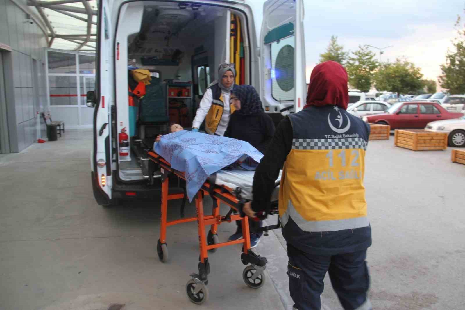 Parkta k&ouml;peklerin saldırısına uğrayan &ccedil;ocuk hastanelik oldu
