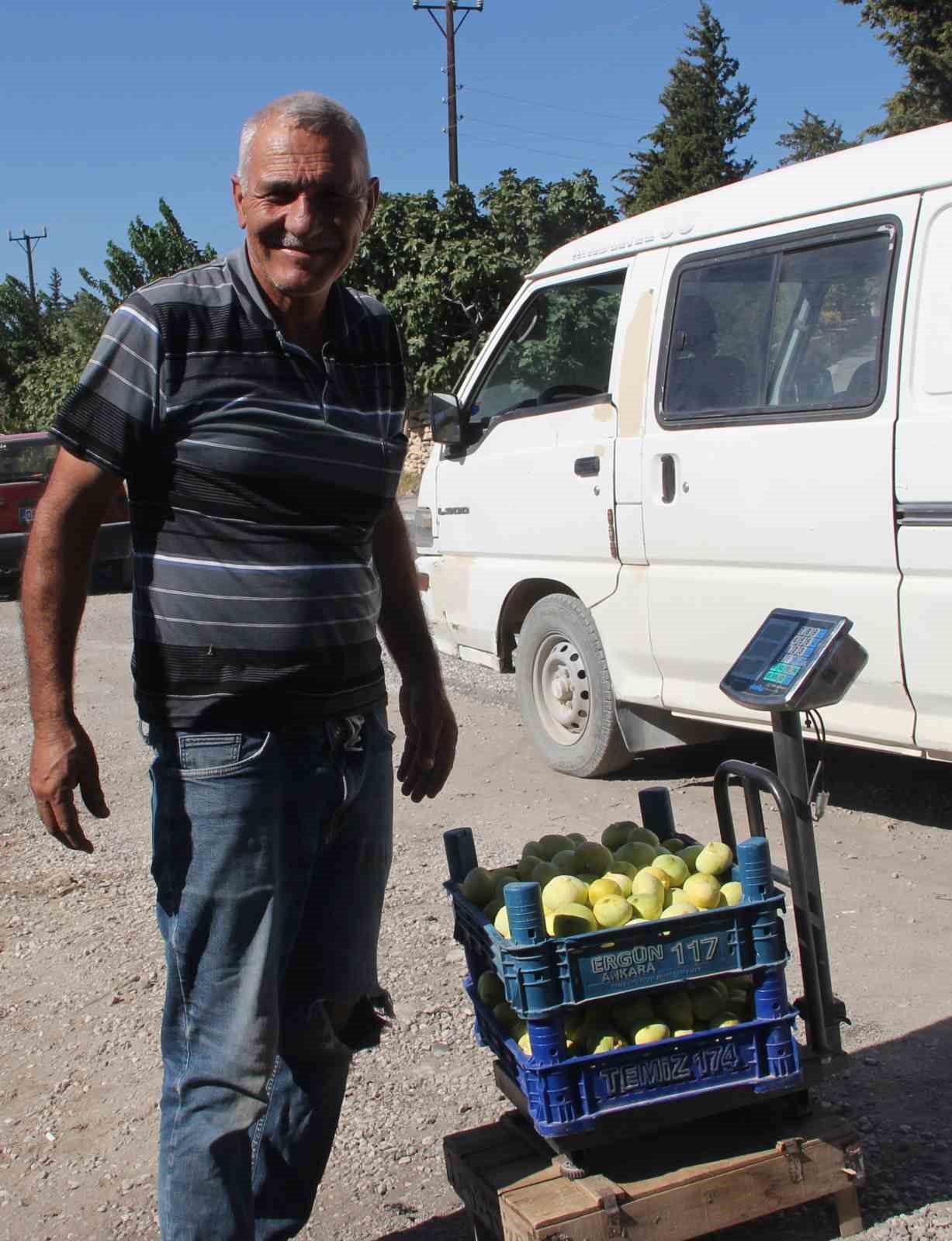 Mersin&rsquo;de Mut beyaz incir altın yılını yaşıyor
