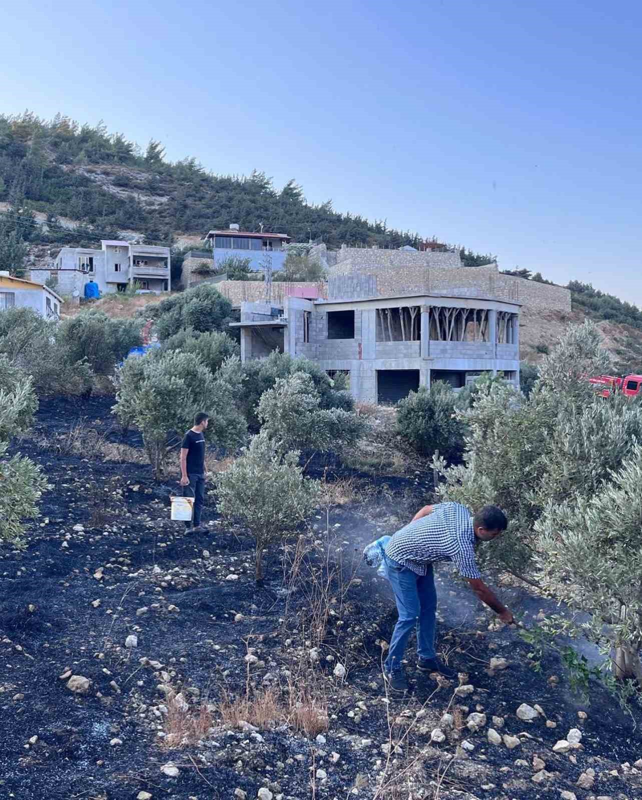 Antakya’da zeytinlik alanda çıkan yangın büyümeden söndürüldü