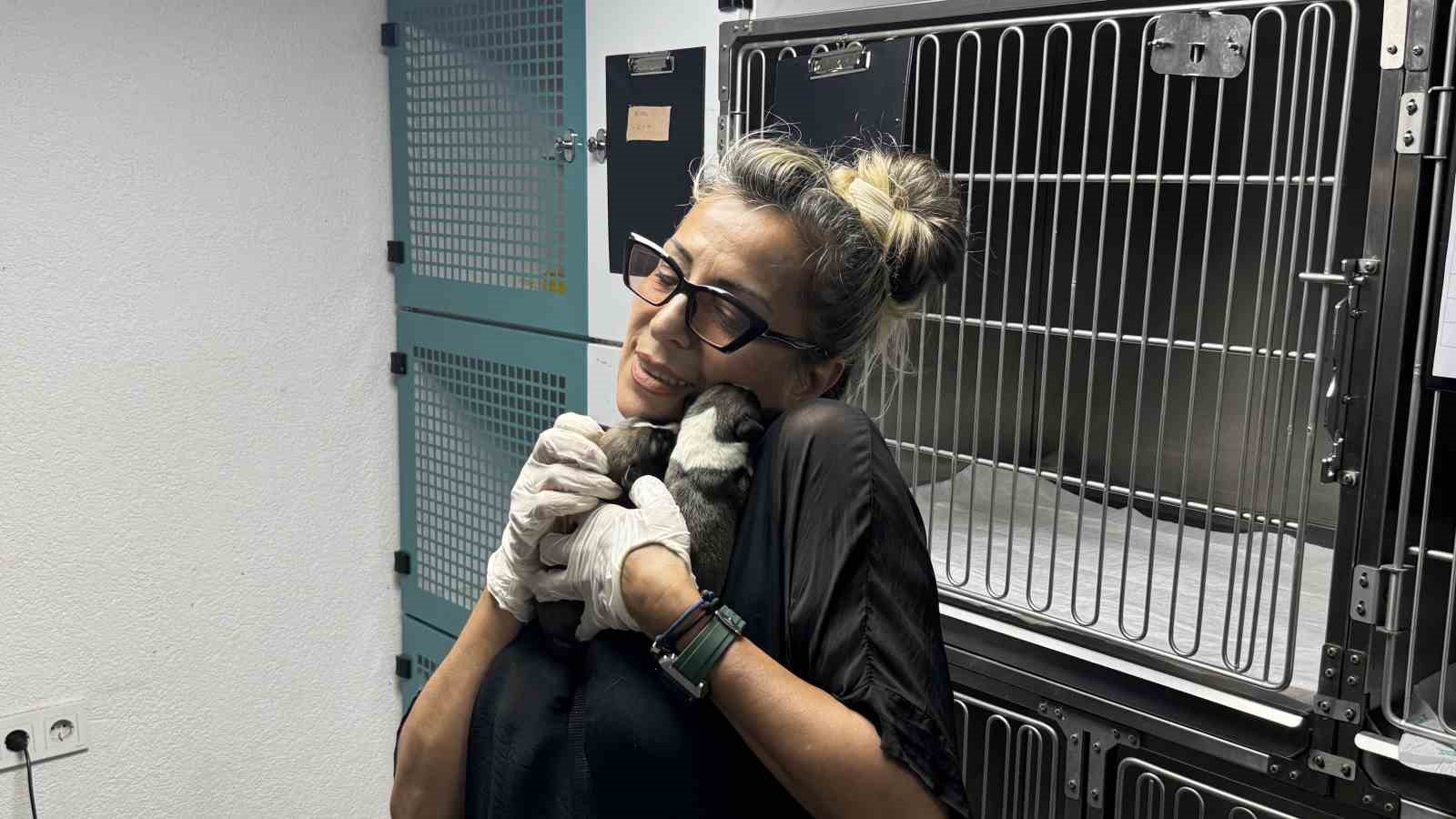 Otomobilin altında kalan hamile k&ouml;peğin imdadına hayvanseverler yetişti
