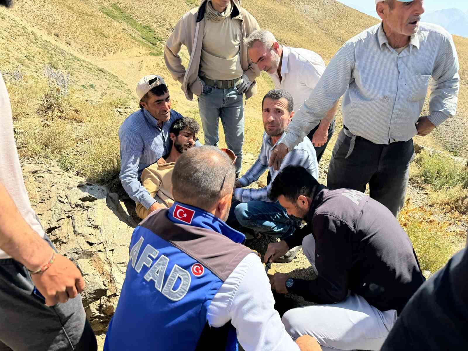 Ayının saldırısına uğrayan çoban ağır yaralandı