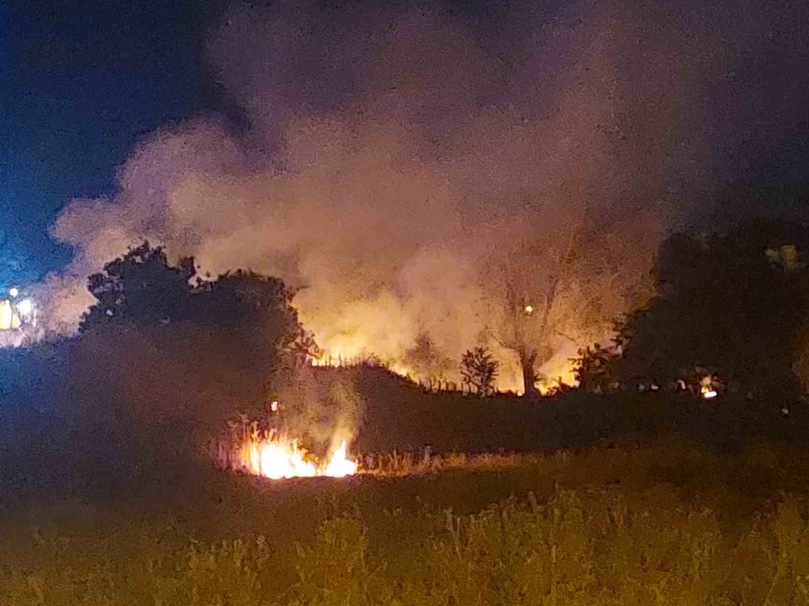 Lüleburgaz’da mezarlıkta çıkan yangın söndürüldü