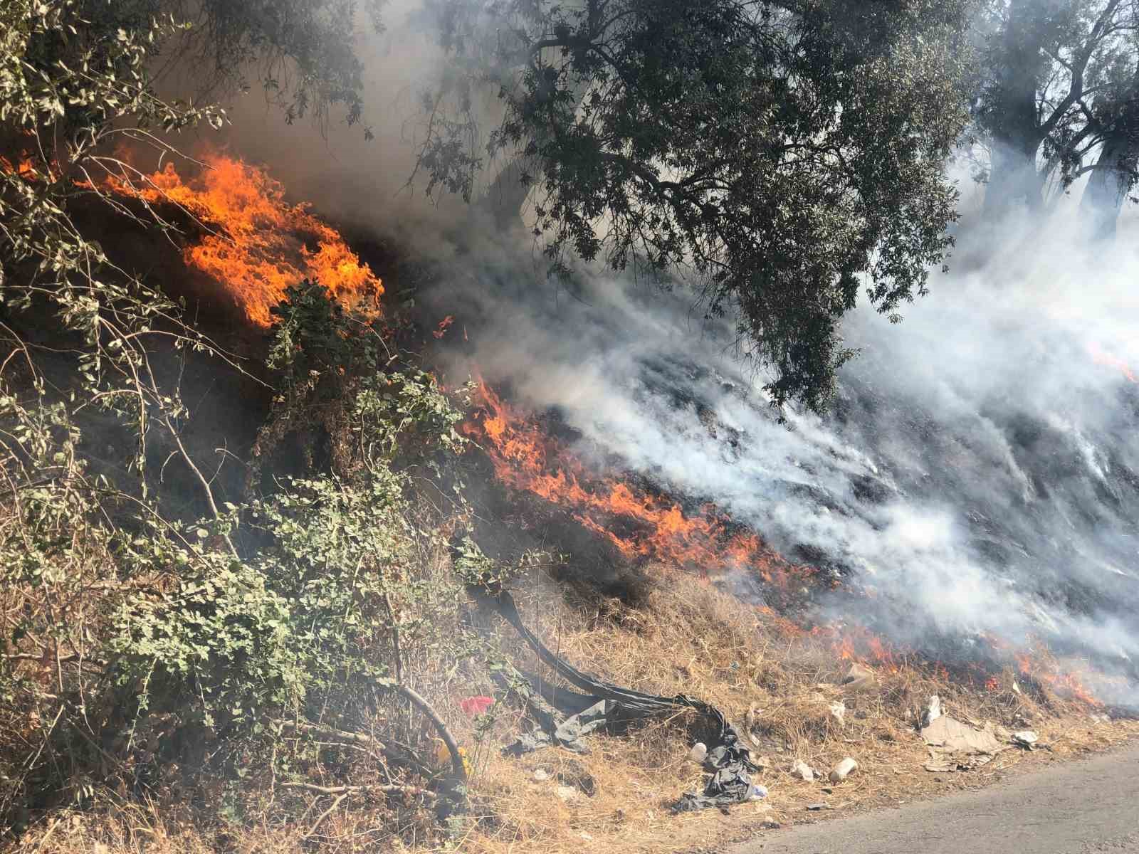 Otluk alanda çıkan yangın bahçeye sıçradı
