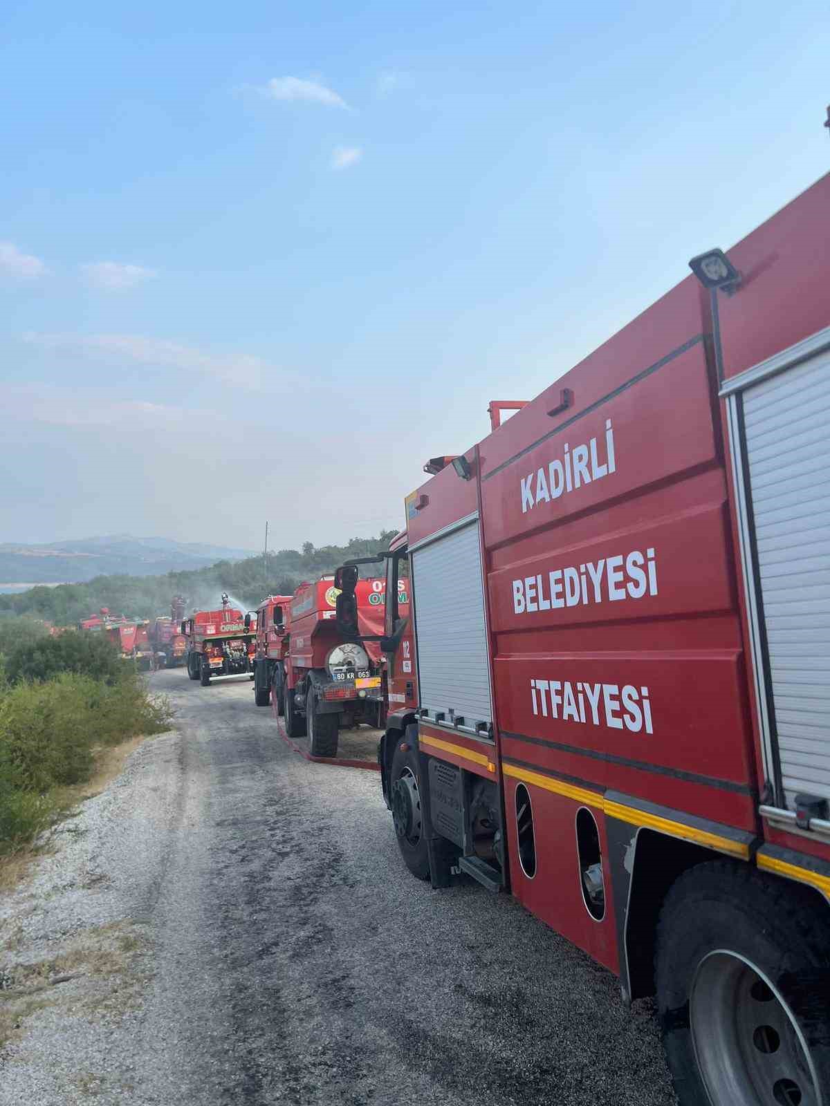 Osmaniye’de orman yangını
