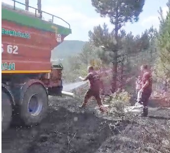 Tavşanlı&rsquo;da orman yangını
