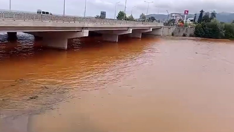 Türkülere konu olan Gelevera Deresi’ndeki balık ölümleri korkutuyor