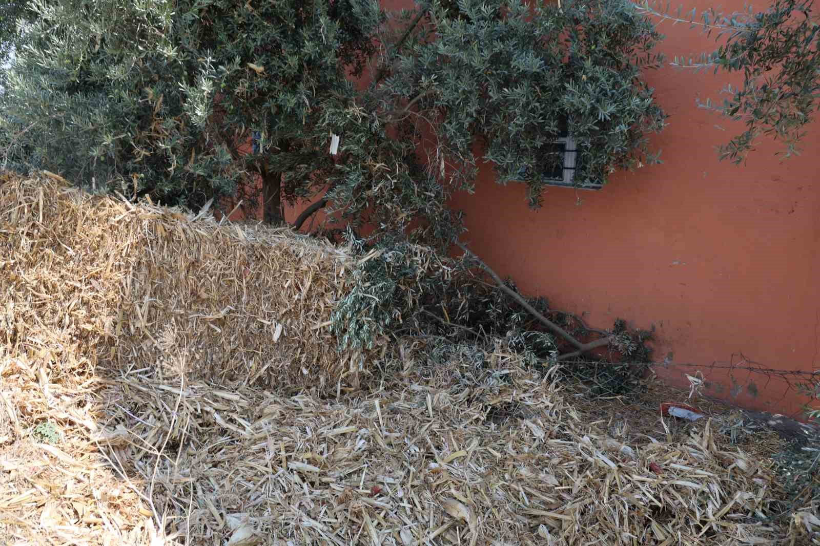Balya taşıyan kamyonların tedbirsizliği vatandaşı canından bezdirdi
