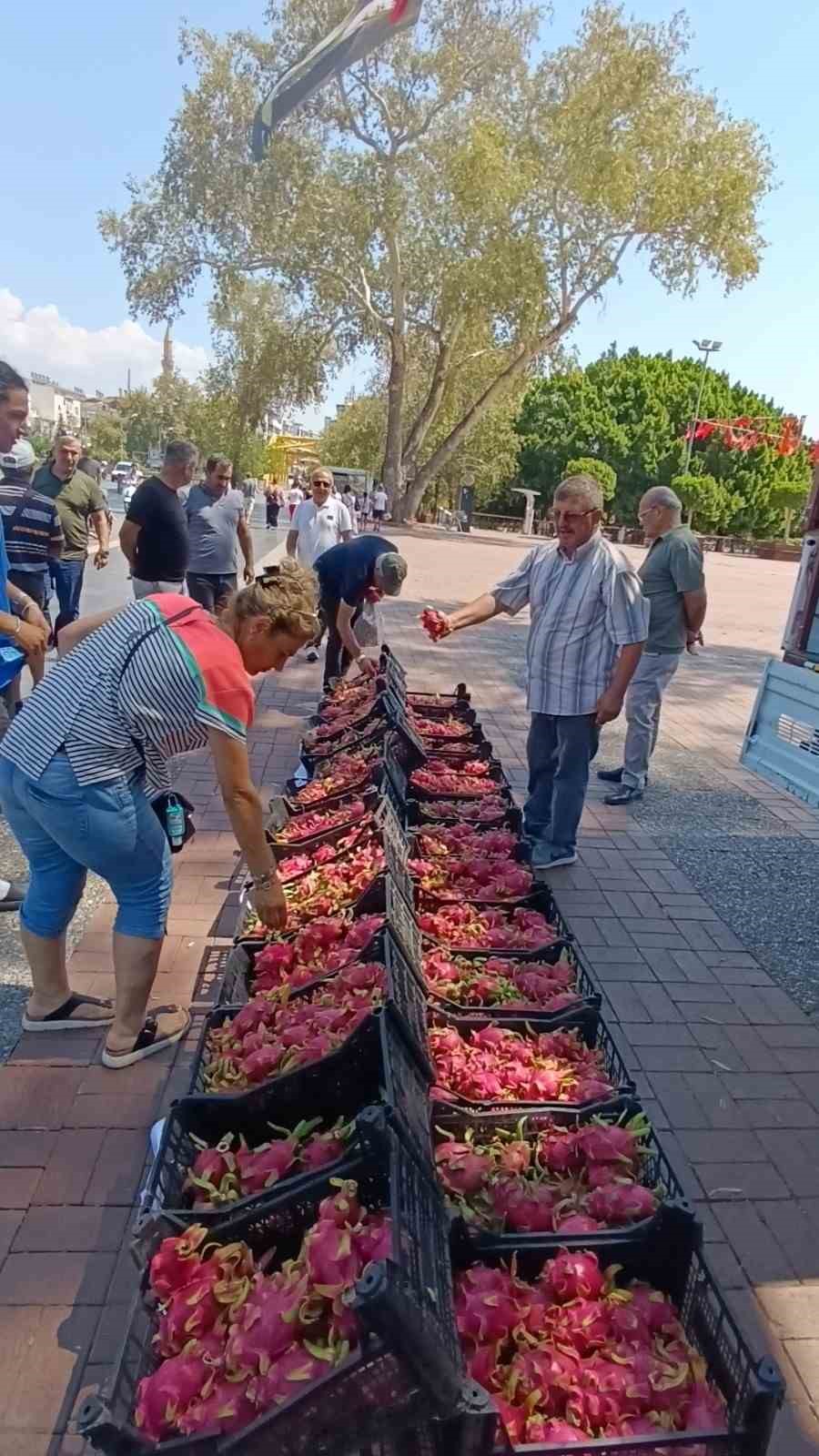 Aracılara kızan üretici 2 bin adet Ejder meyvesini bedava dağıttı 