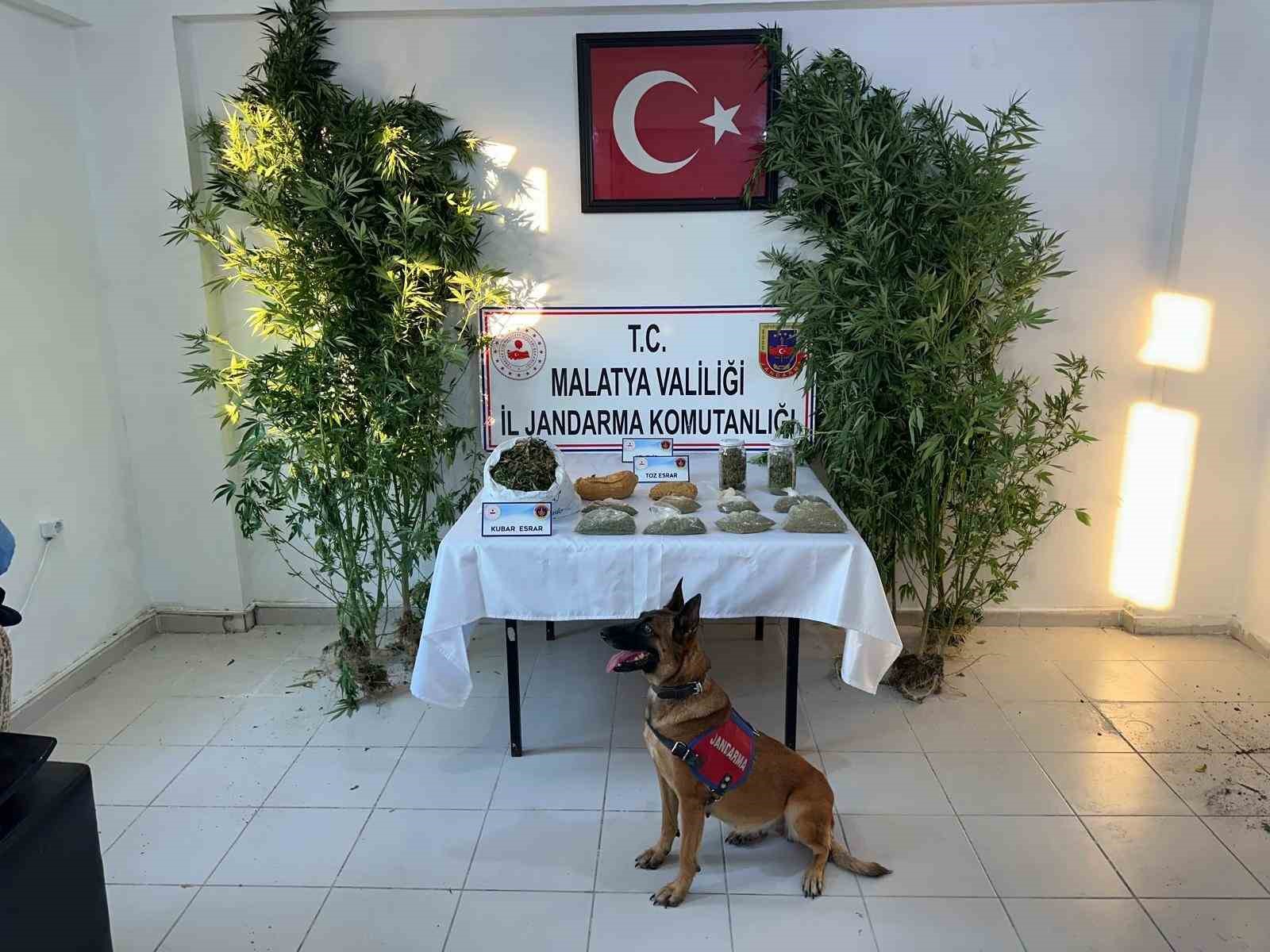 Malatya’da uyuşturucu operasyonu
