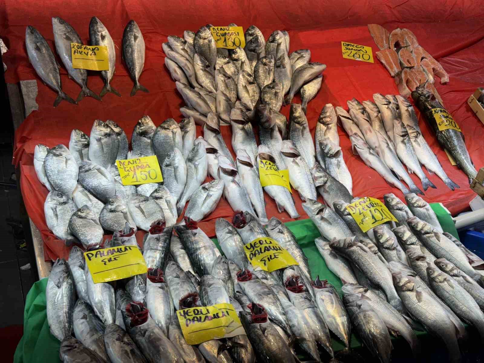 Balık sezonu açıldı: İstanbul’da balıklar tezgahlardaki yerini aldı