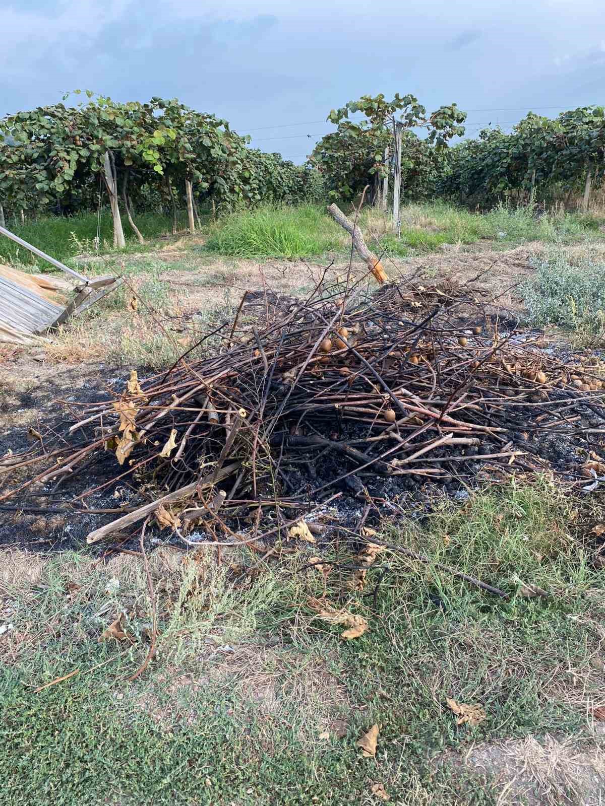 Yalova Valiliğinden asılsız çıkan uçak düşme ihbarıyla ilgili açıklama
