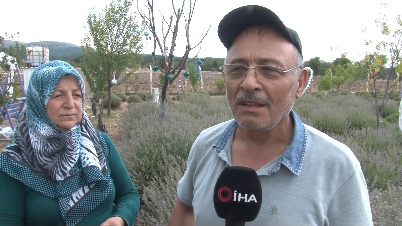 Lavanta bah&ccedil;esinde hasat başladı
