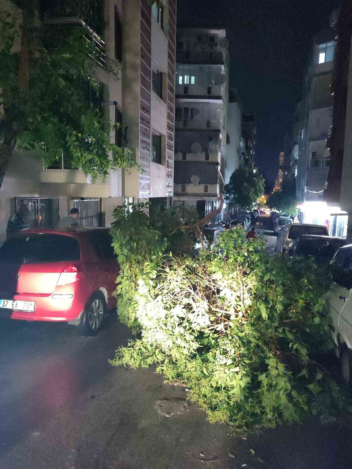 Şehzadeler Belediyesi ekipleri devrilen ağaçları kaldırdı