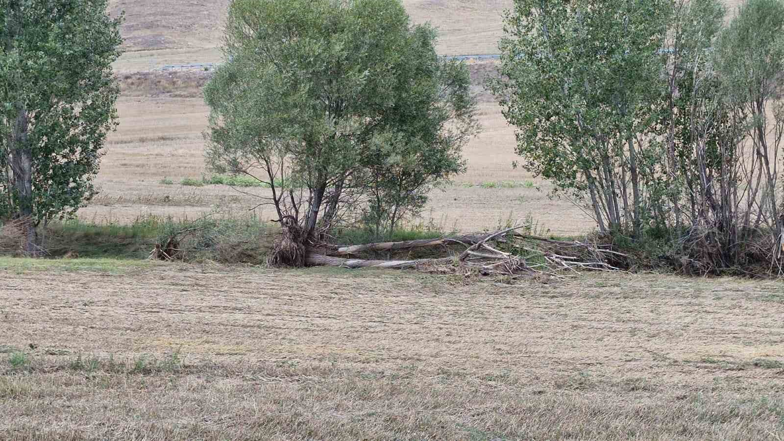 Sel suları, Alaca&rsquo;da bariyerleri s&ouml;kt&uuml;
