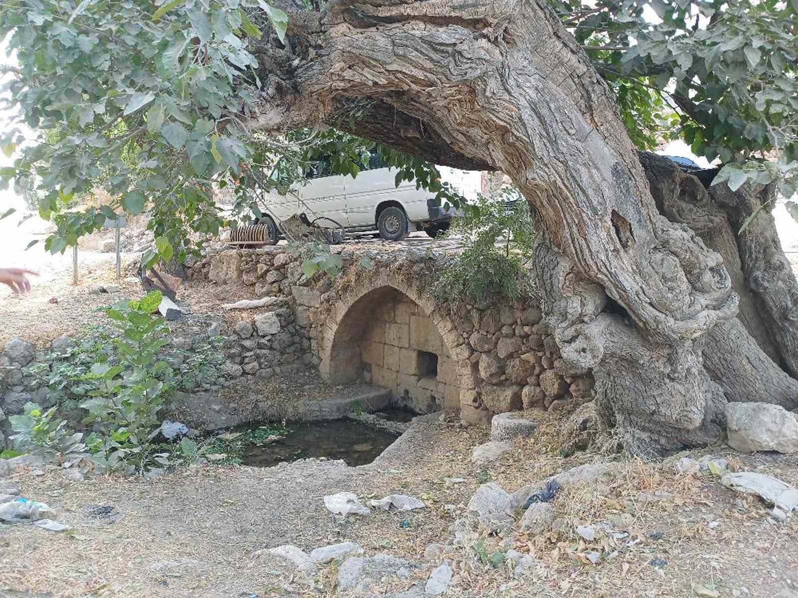 Araban&rsquo;daki Roma d&ouml;nemine ait tarihi &ccedil;eşmeler kurtarılmayı bekliyor
