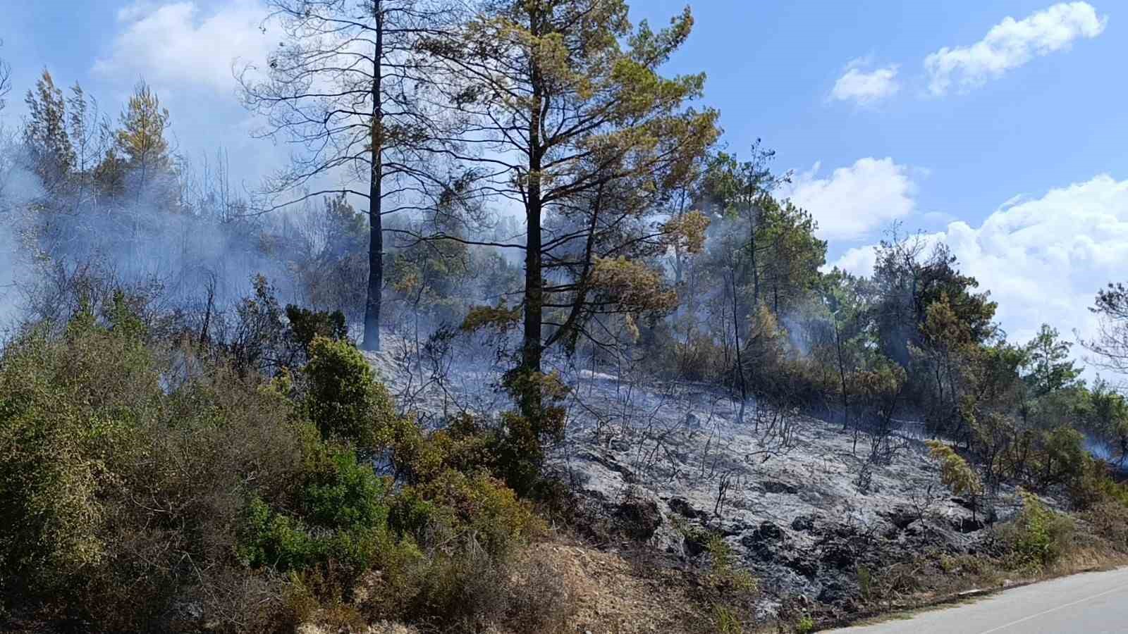 Antalya’da tarım arazisi yandı, 3 sera zarar gördü