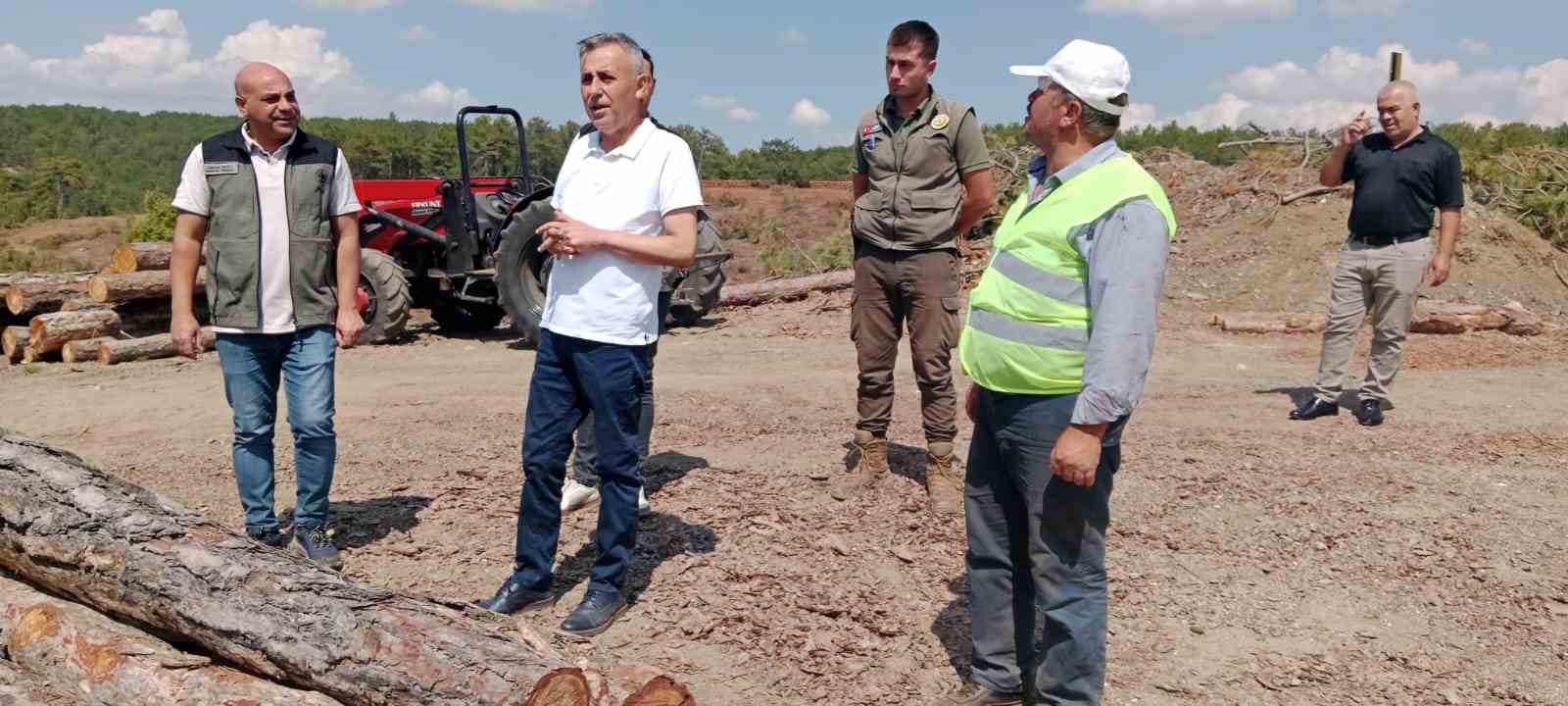 "Müdür Erdal Dingil: "Orman yangınlarına karşı daha duyarlı olmalıyız"