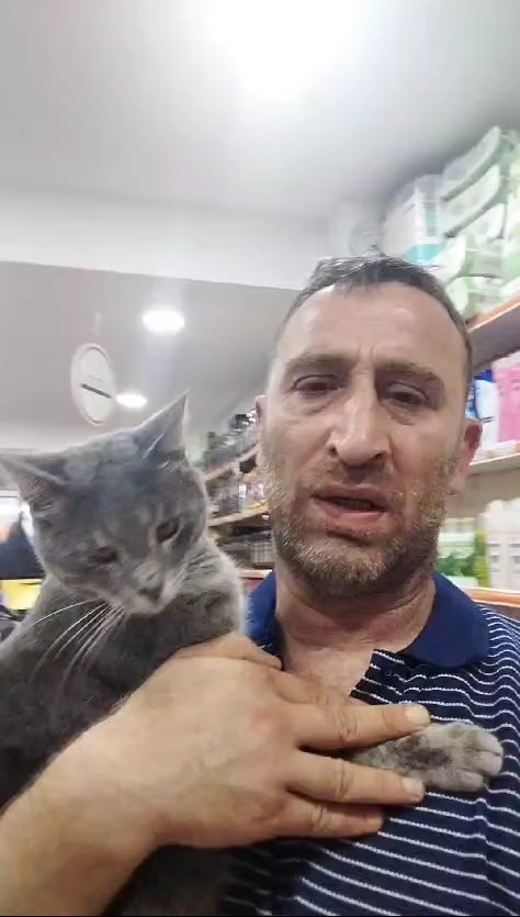 Kedi köpek sahipleri dikkat, sizin için faydalı olan şeyler dostlarınız için zararlı olabilir
