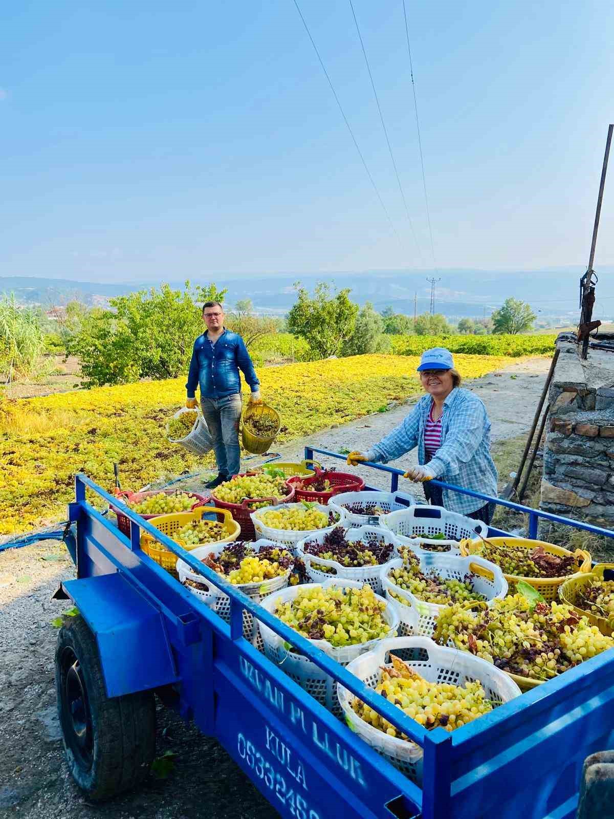 Y&uuml;ksek sıcaklık &uuml;z&uuml;mde kaliteyi arttırdı, verimi d&uuml;ş&uuml;rd&uuml;
