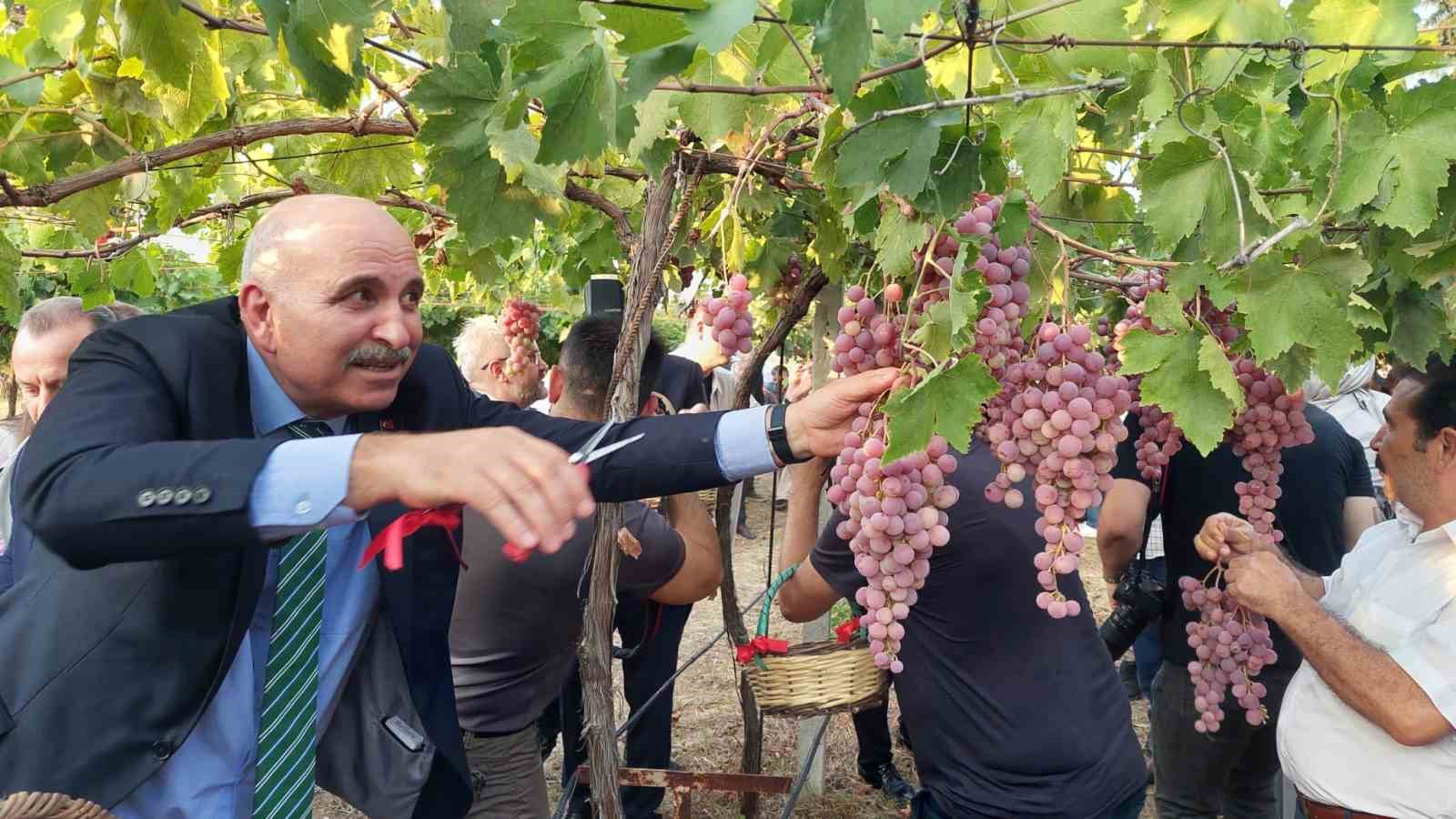 Tekirdağ&rsquo;da "Bağbozumu Şenliği" coşkusu
