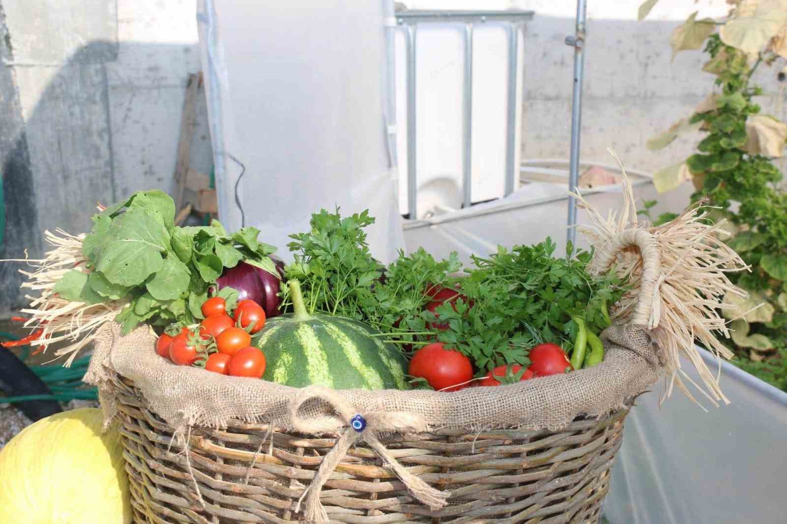 K&uuml;tahya&rsquo;da &rsquo;Okuldaki &ccedil;iftlik&rsquo; projesi ile hasat heyecanı yaşandı
