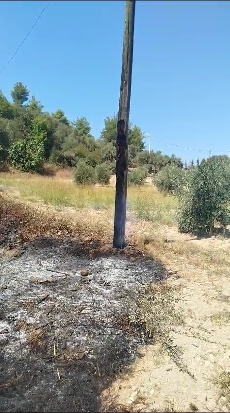 Sazlık yangını tarım arazileri ve mezarlığa ulaşmadan söndürüldü
