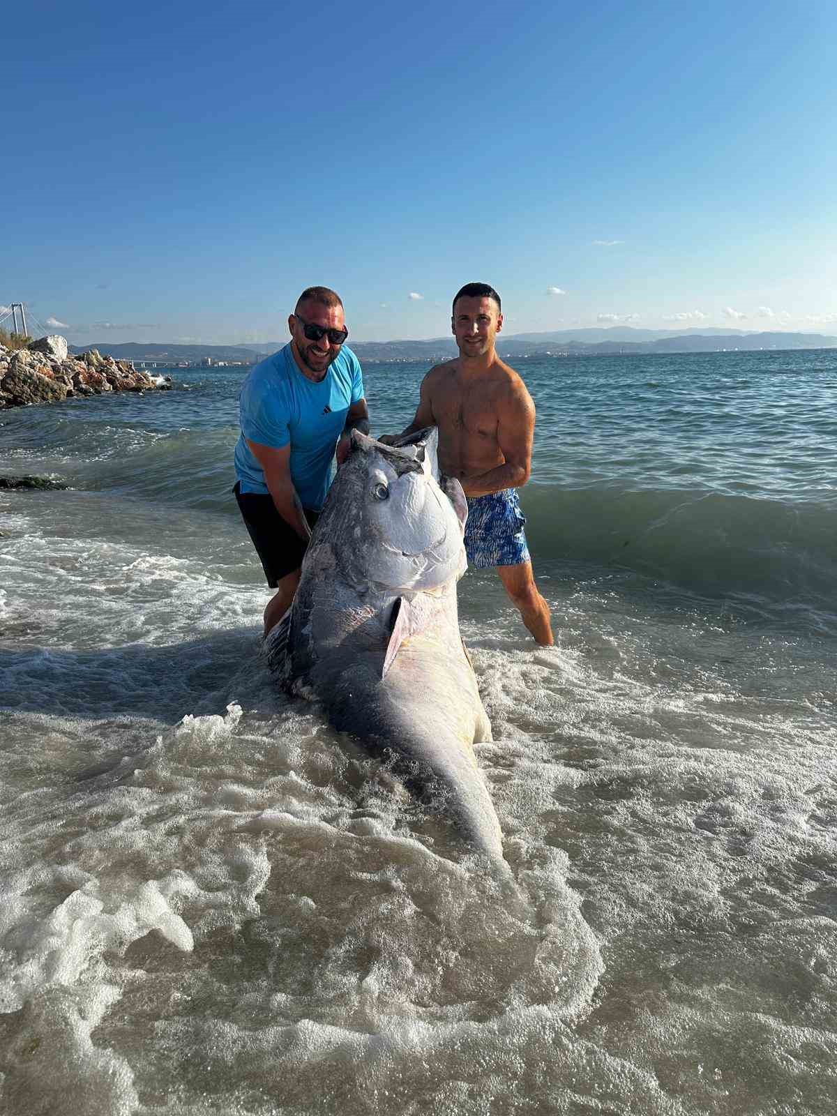 Marmara&rsquo;da 2 dalgı&ccedil;, 320 kilogram orkinos avladı
