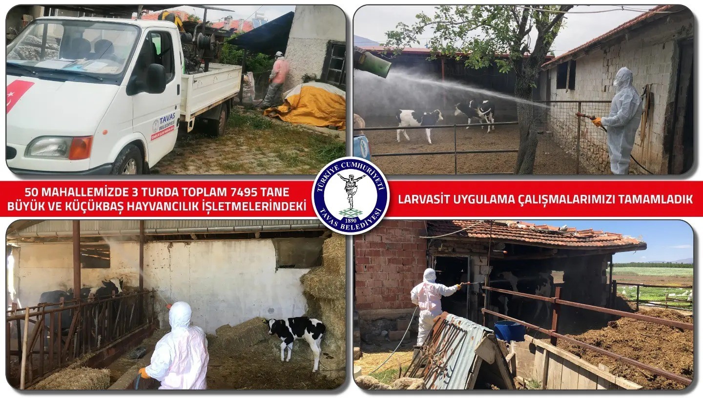 Tavas Belediyesi 7 bin hayvan işletmesinde larvasit ila&ccedil;laması yaptı
