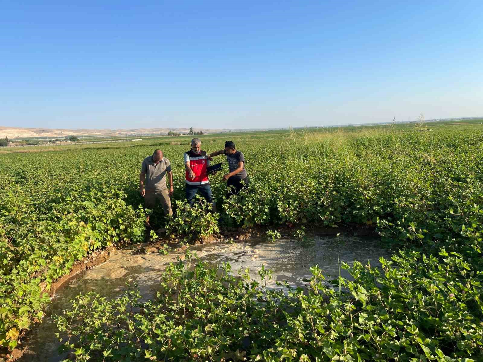 Harran Ovası’nda oluşan dev obruklar çiftçileri korkutuyor
