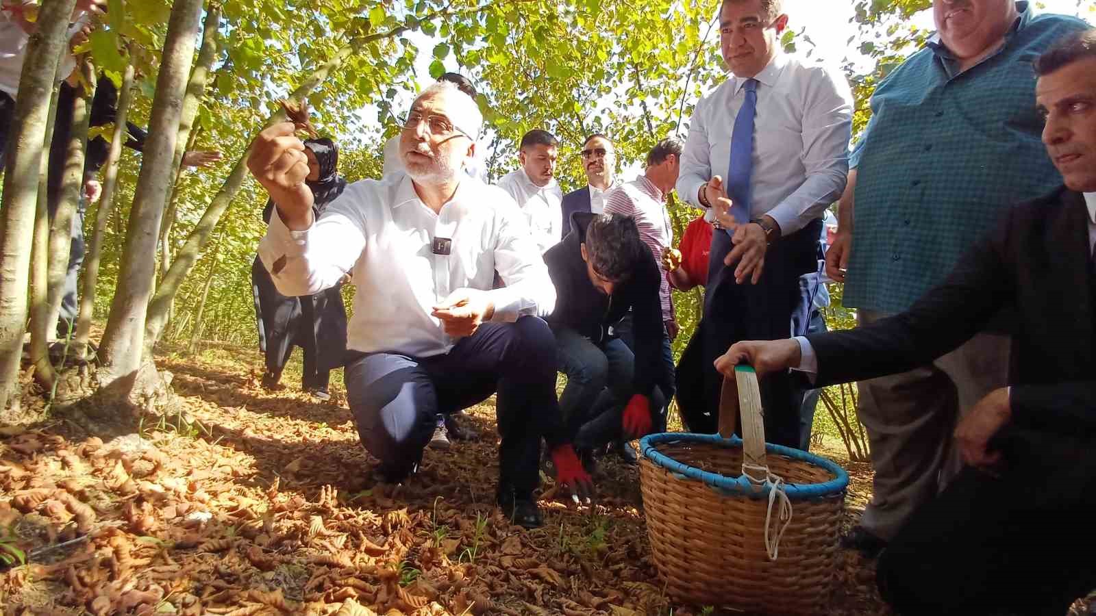 Bakan Işıkhan, işçilerle birlikte fındık topladı
