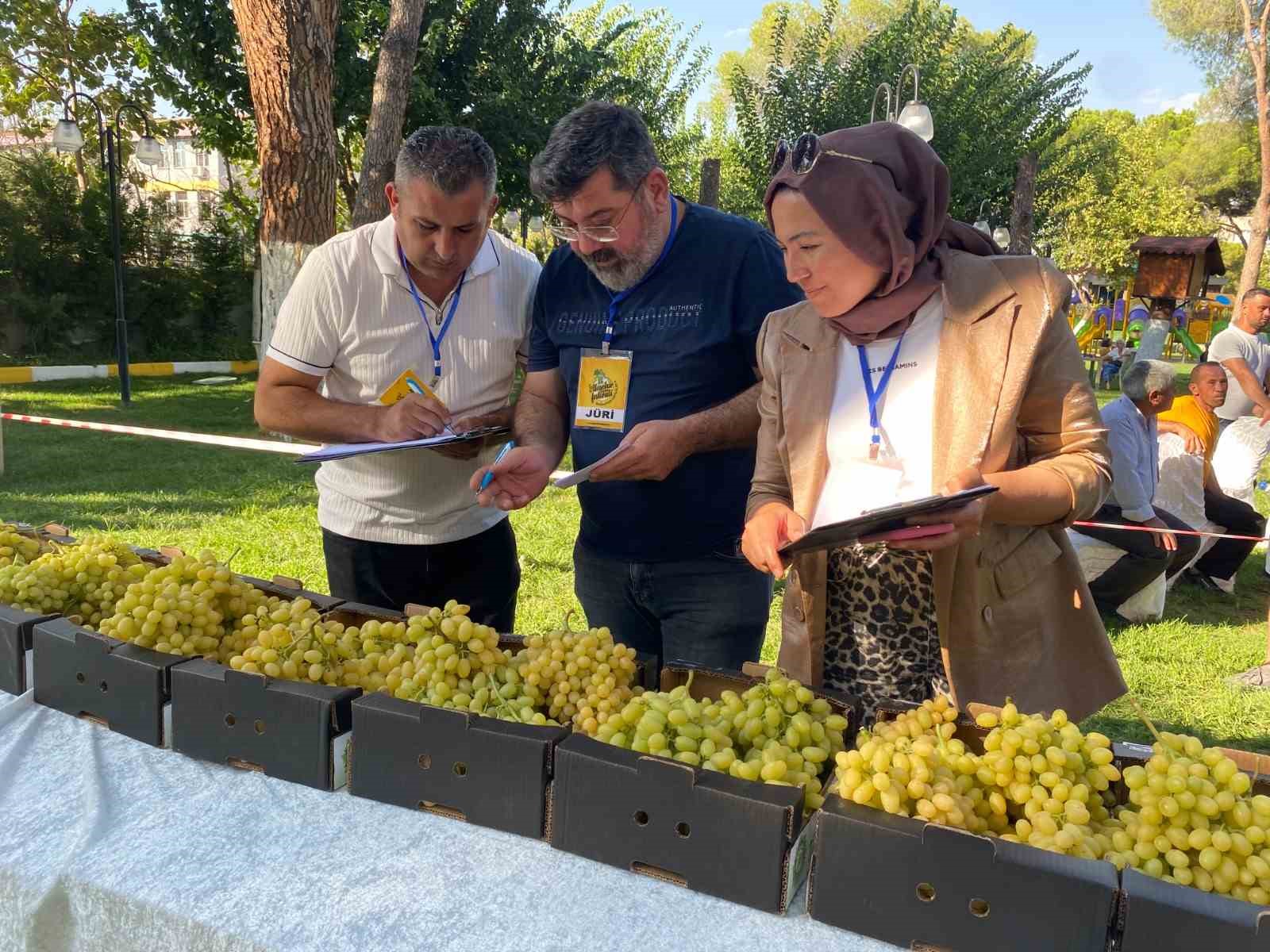 Alaşehir&rsquo;in en g&uuml;zel &uuml;z&uuml;m&uuml; se&ccedil;ildi
