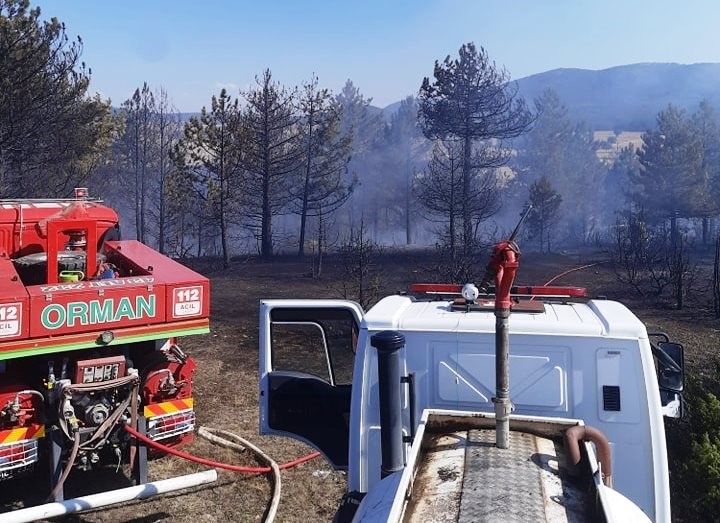 K&uuml;tahya&rsquo;da ormana sı&ccedil;rayan anız yangını b&uuml;y&uuml;meden s&ouml;nd&uuml;r&uuml;ld&uuml;
