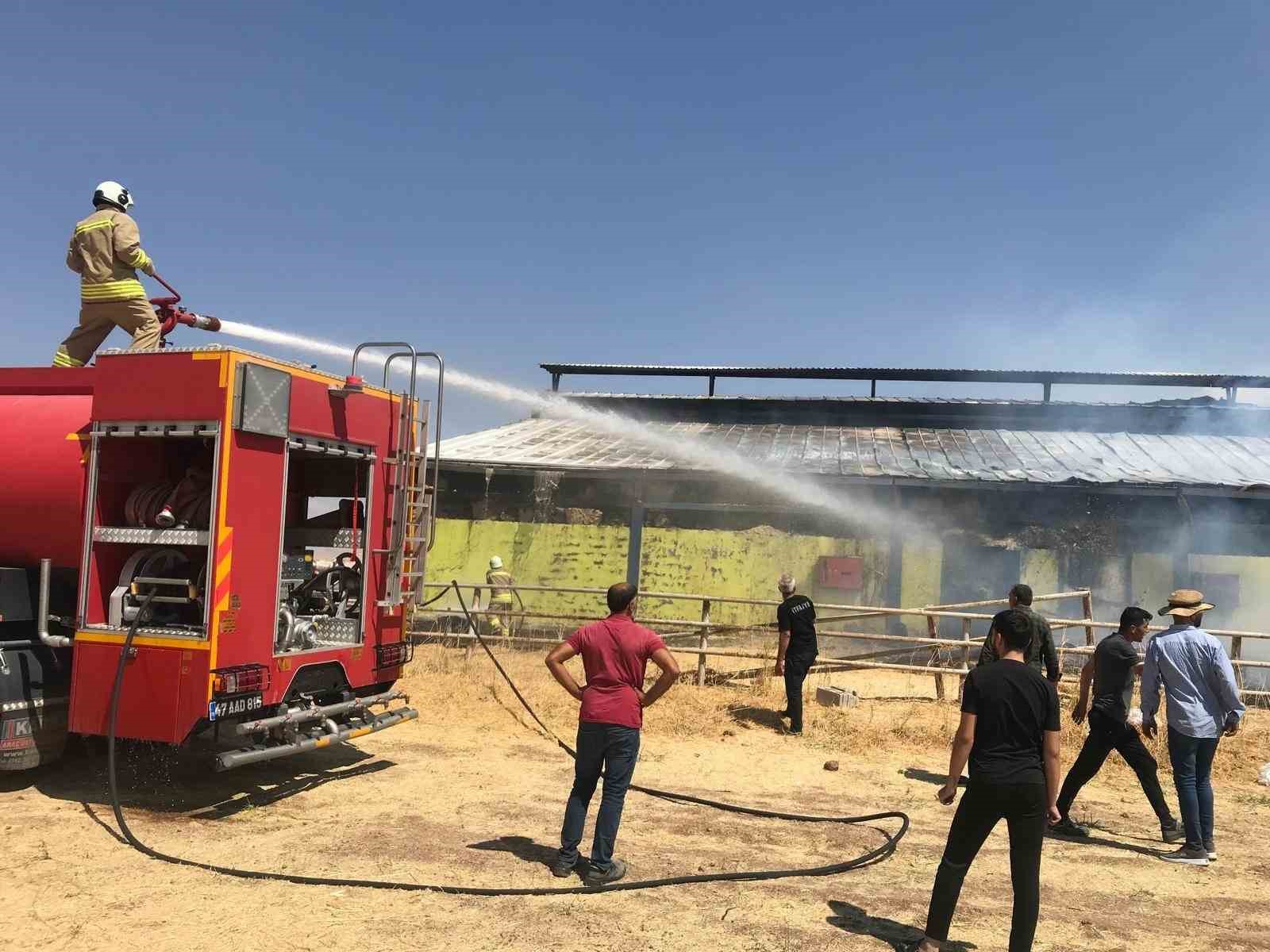 Mardin’de çiftlikte çıkan yangına müdahale devam ediyor
