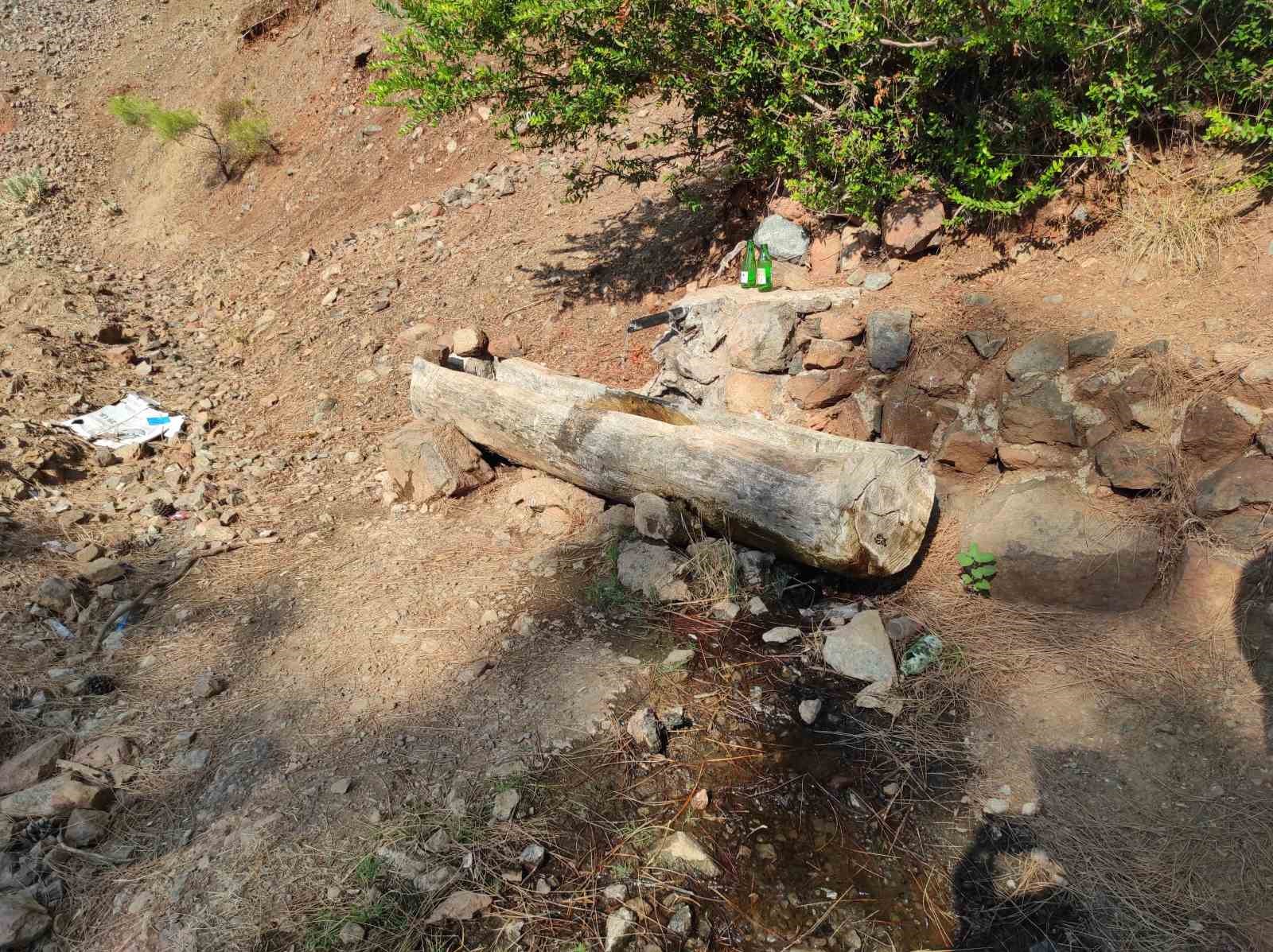 Fethiye’de ormanda terk edilmiş bebek bulundu