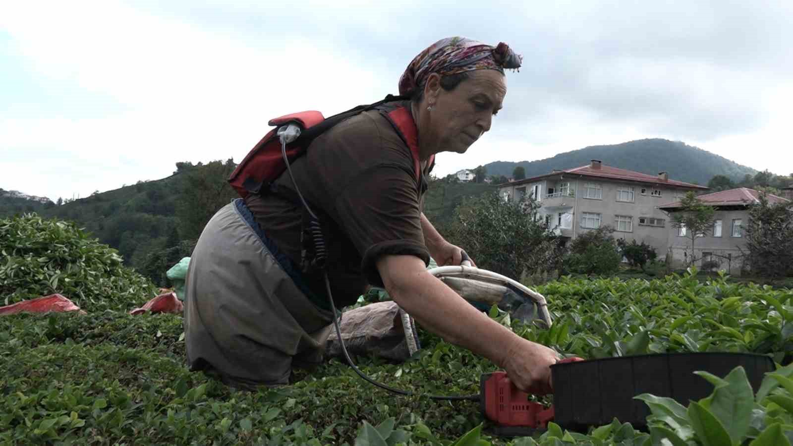 ÇAYKUR’un randevulu çay alım sistemine geçmesi üreticiyi sevindirdi