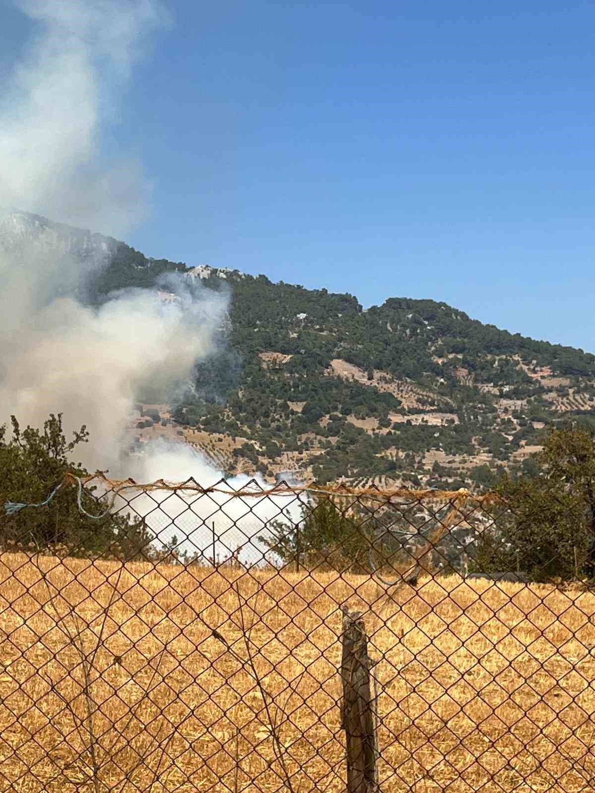 Muğla’daki orman yangınını söndürme çalışmaları devam ediyor
