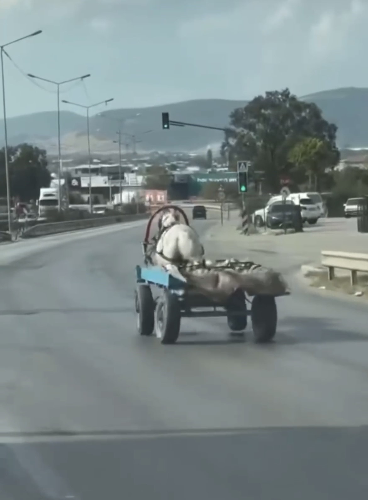 Başıboş at arabasının tehlikeli anları kamerada
