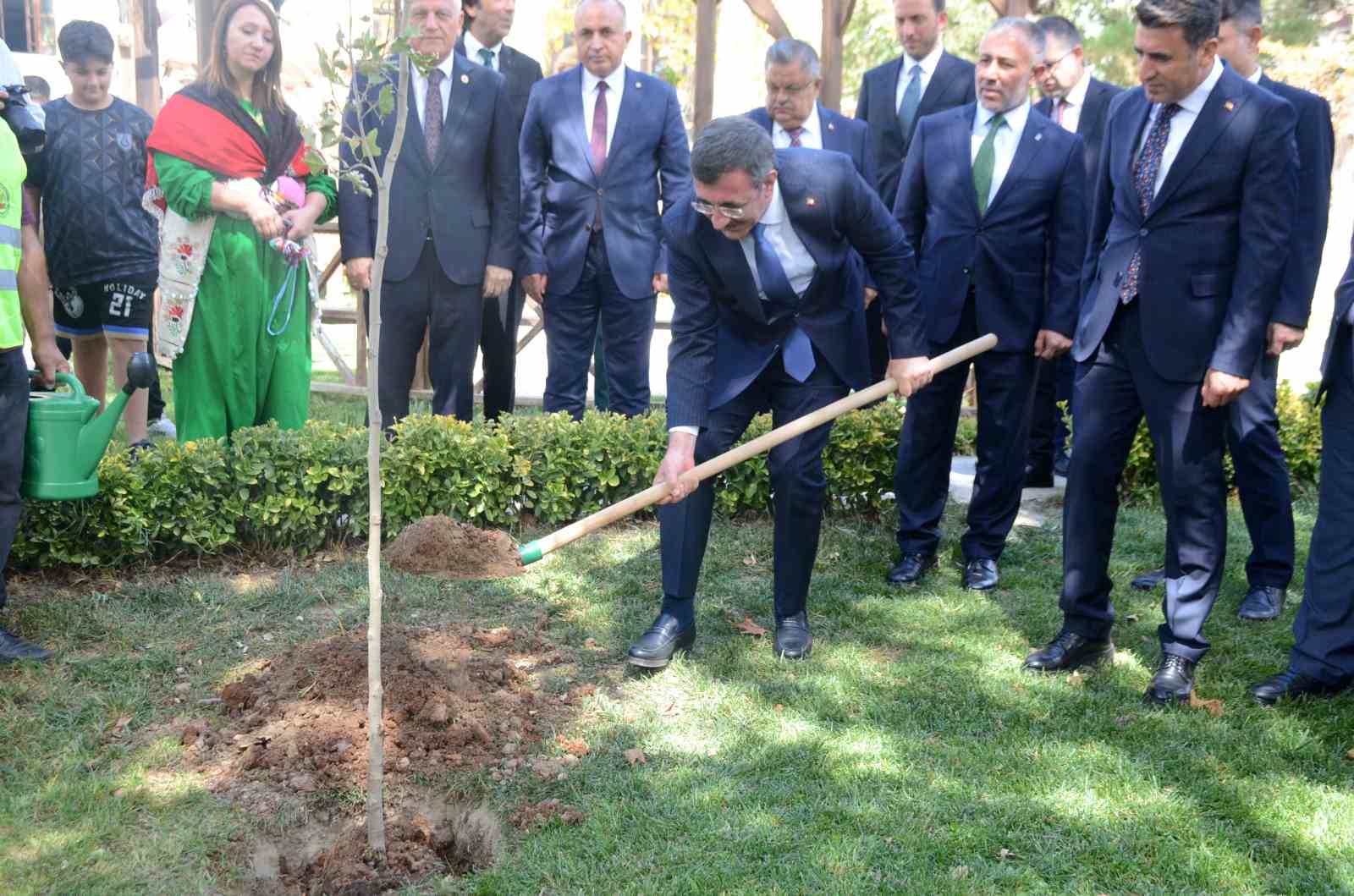 Cumhurbaşkanı Yardımcısı Yılmaz: &quot;Bilecik’te bizim de artık bir dikili çınarımız olacak&quot;