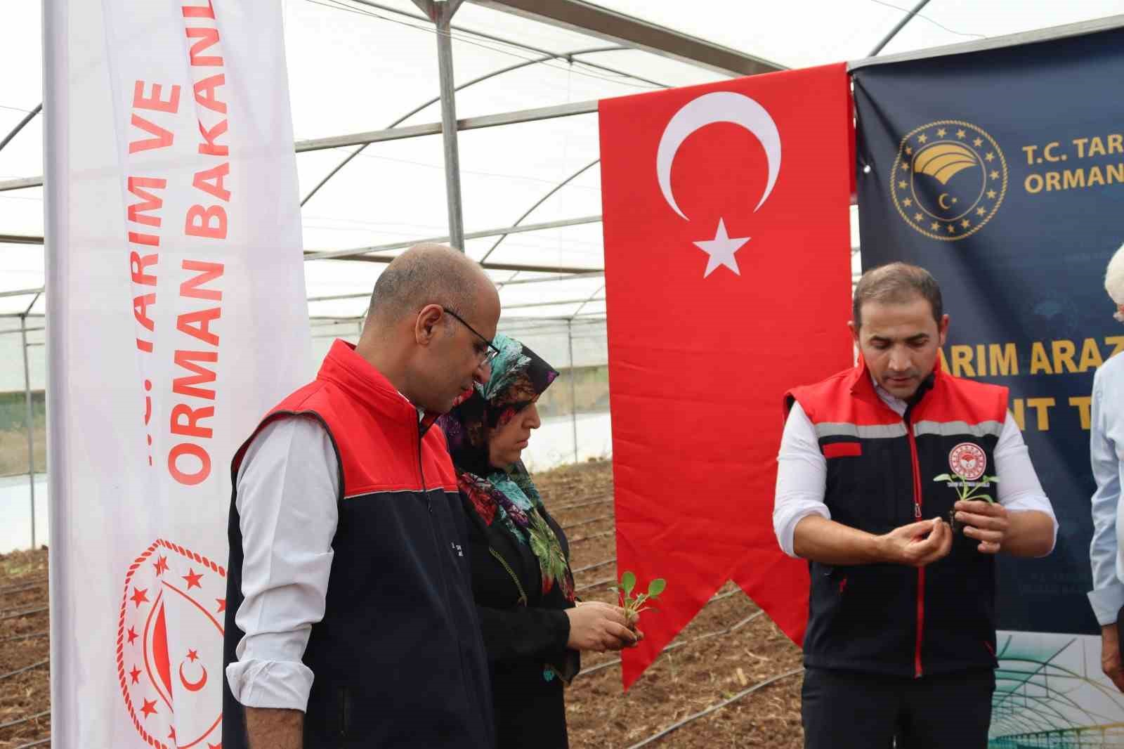 Şırnak&rsquo;ta &ldquo;Kent Tarımıyla Sebzecilik Gelişiyor Projesi&rdquo; ile y&uuml;zde 75 hibeli fide dağıtımı yapıldı
