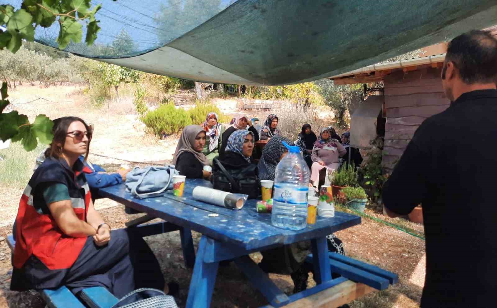 K&uuml;tahyalı kadın &uuml;reticiler Permak&uuml;lt&uuml;r &ccedil;iftliğinde
