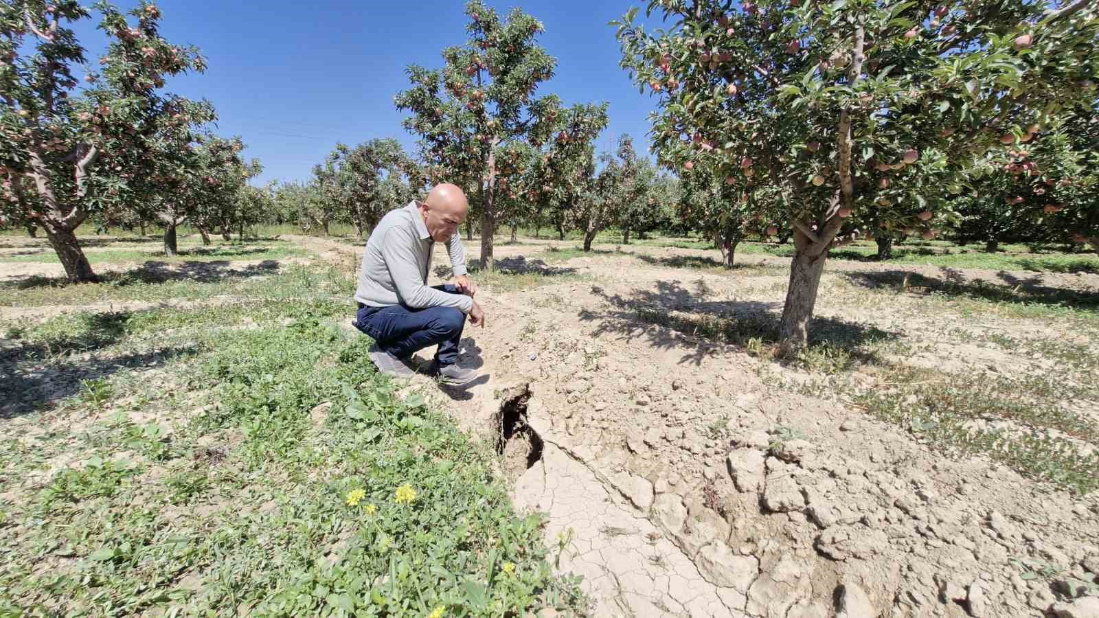 Elma bahçesinde oluşan 100 metrelik yarık korkuttu
