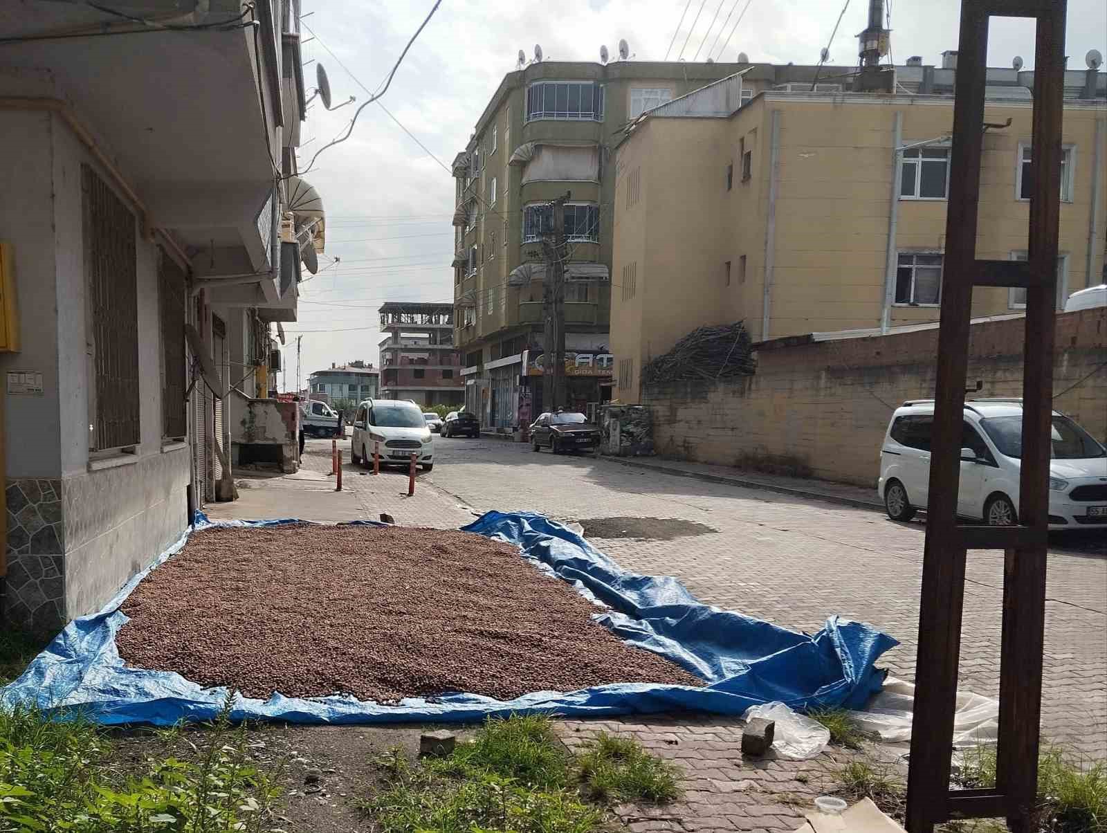 Çarşamba’da fındık kurutma mesaisi
