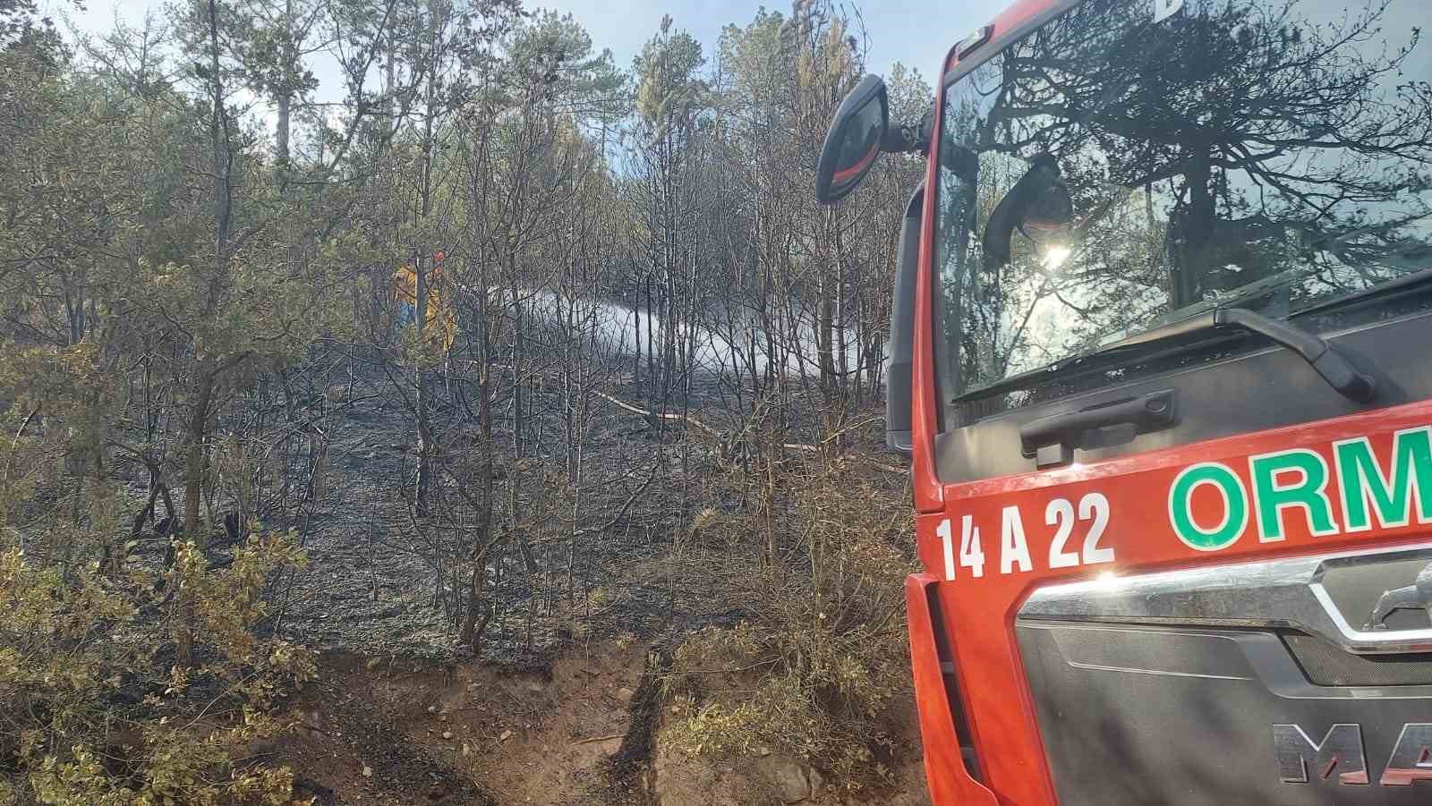 Bolu’da orman yangını kontrol altına alındı