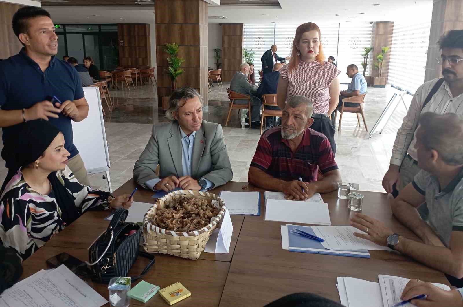 &Ccedil;anakkale&rsquo;de Romanların sorunlarına b&ouml;lgesel &ccedil;alıştayla &ccedil;&ouml;z&uuml;m arandı
