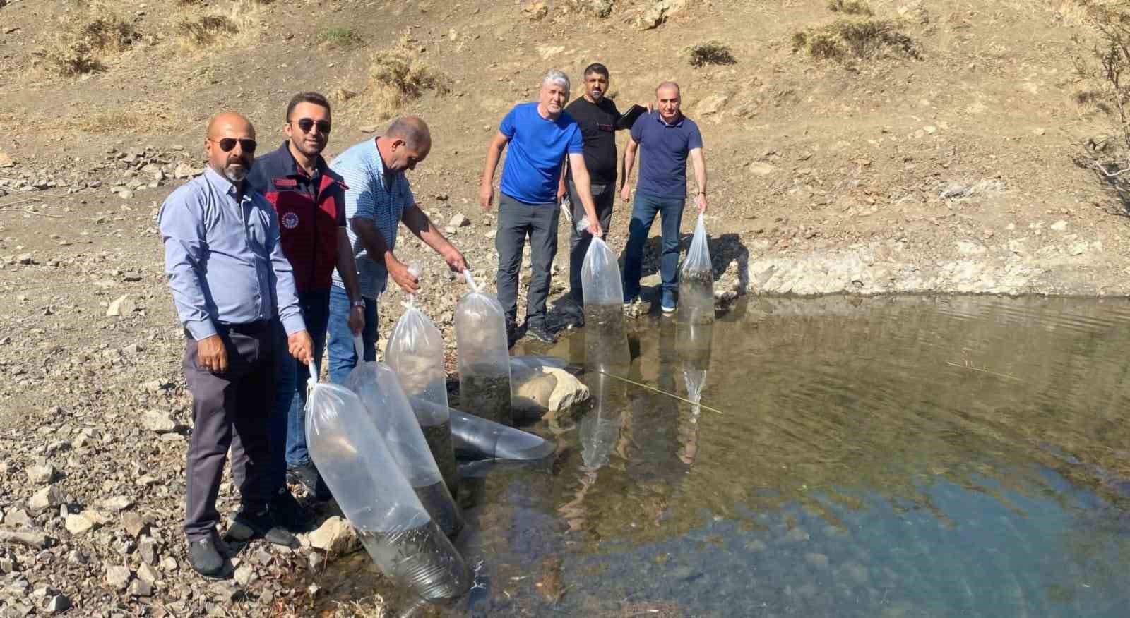 Tunceli’de doğal göle, 80 bin pullu yavru sazan bırakıldı